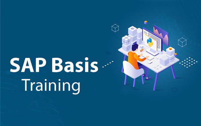 SAP BASIS Training in chennai